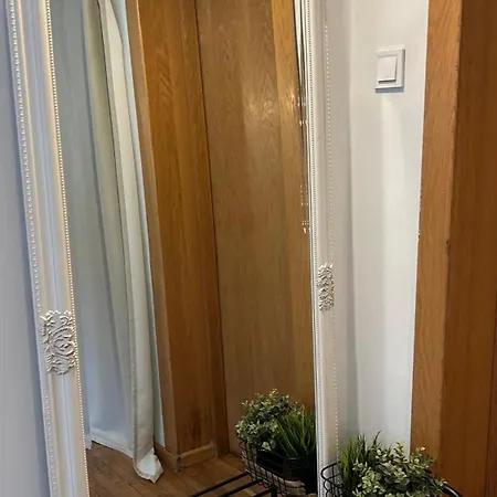 13 * Brașov